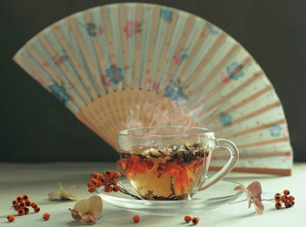 Similar image 21546637