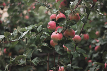 Similar image 21533112