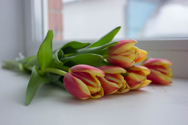 Similar image 21533115