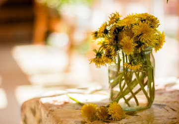 Similar image 21533116