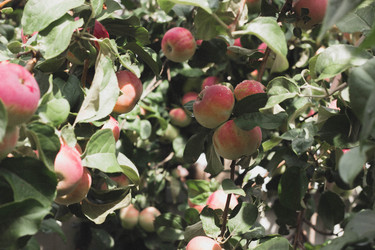 Similar image 21533117