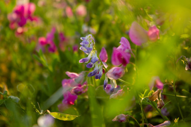 Similar image 21533120