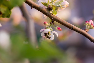 Similar image 21533121