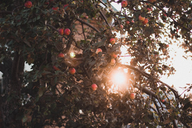 Similar image 21533123