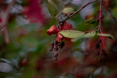 Similar image 21533124