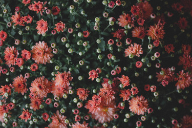 Similar image 21533125