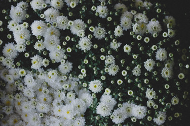 Similar image 21533126