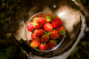 Similar image 21533127