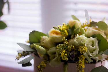 Similar image 21533128