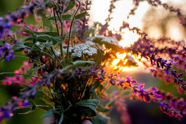 Similar image 21533129