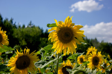 Similar image 21533130