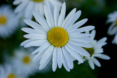 Similar image 21533131