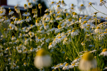 Similar image 21533132