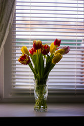 Similar image 21533133