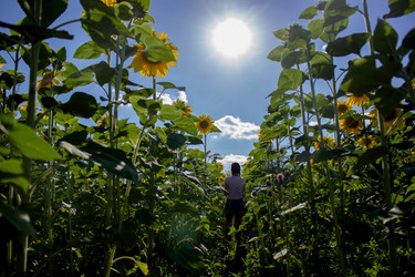 Similar image 21533134