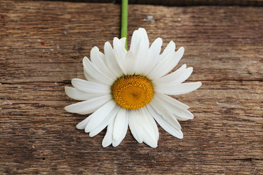 Similar image 21532055