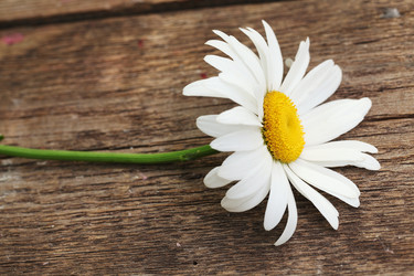 Similar image 21532056