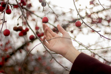 Similar image 21533135