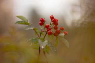 Similar image 21533136