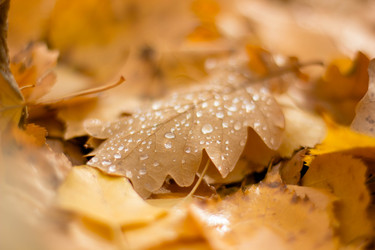 Similar image 21533137