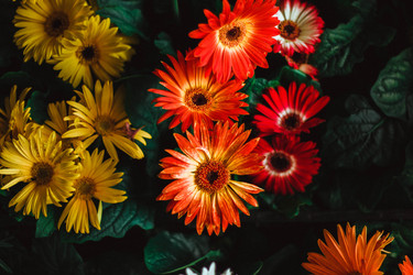 Similar image 21533138