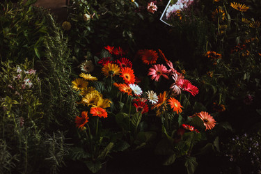 Similar image 21533139