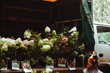 Similar image 21533142