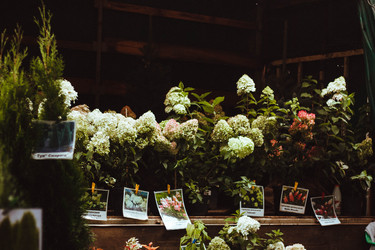 Similar image 21533143