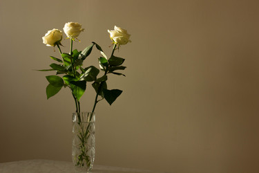 Similar image 21533144