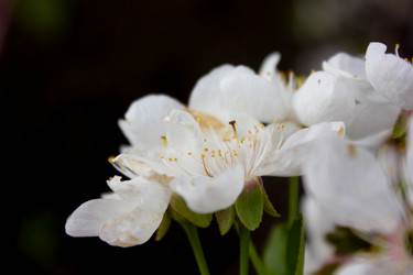 Similar image 21533146