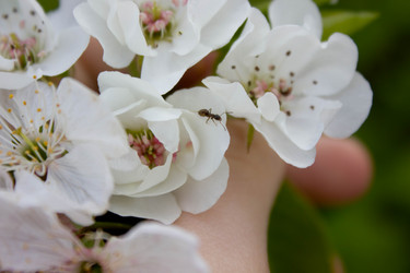 Similar image 21533147