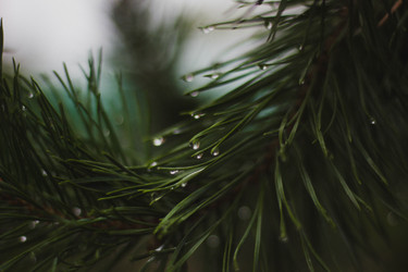 Similar image 21533148