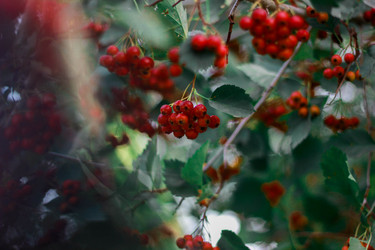 Similar image 21533151