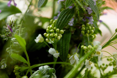 Similar image 21533152