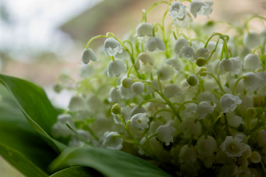 Similar image 21533153