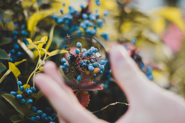 Similar image 21533154