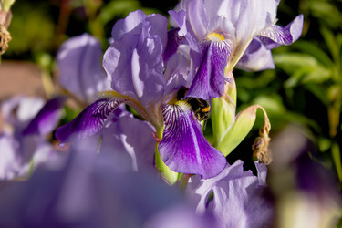 Similar image 21533156