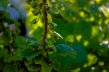 Similar image 21533157