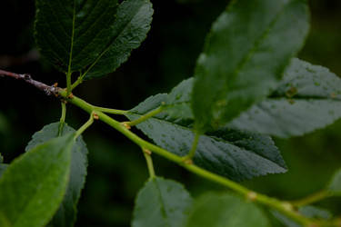 Similar image 21533158