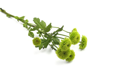 Similar image 21532057