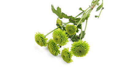 Similar image 21532058