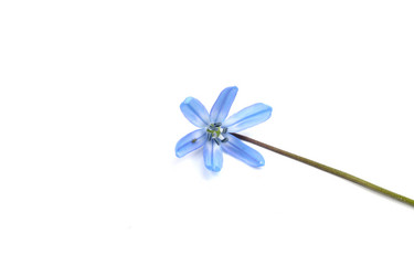 Similar image 21532061