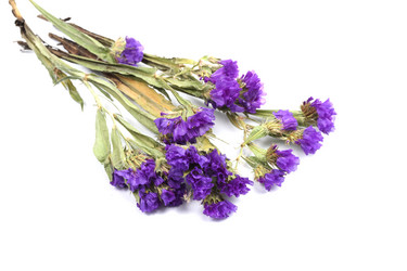 Similar image 21532062