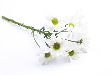 Similar image 21532063