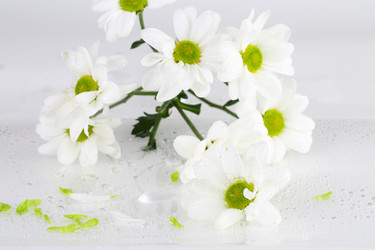 Similar image 21532066