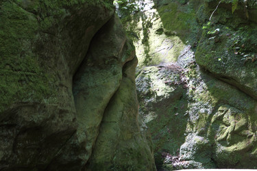 Similar image 21525727