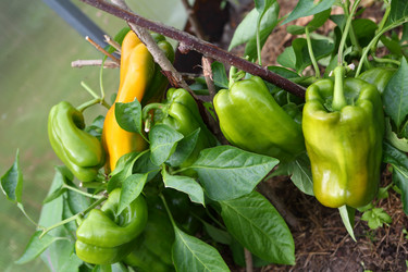 Similar image 21546646