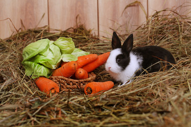 Similar image 21546647