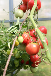 Similar image 21546648