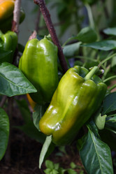 Similar image 21546649